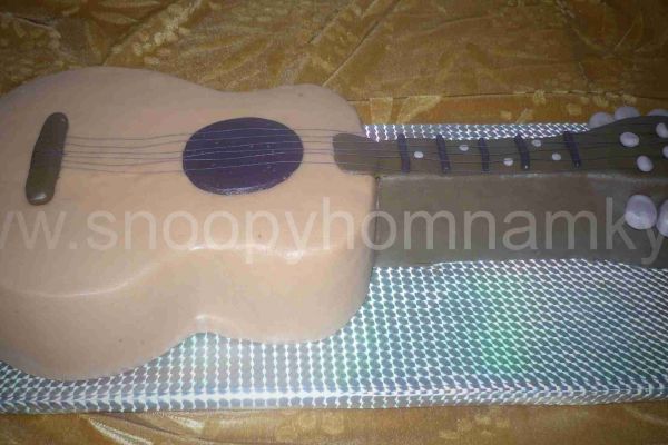 kytara-bDD5123EB-971D-231A-B6D4-0DEF35F5CA83.jpg